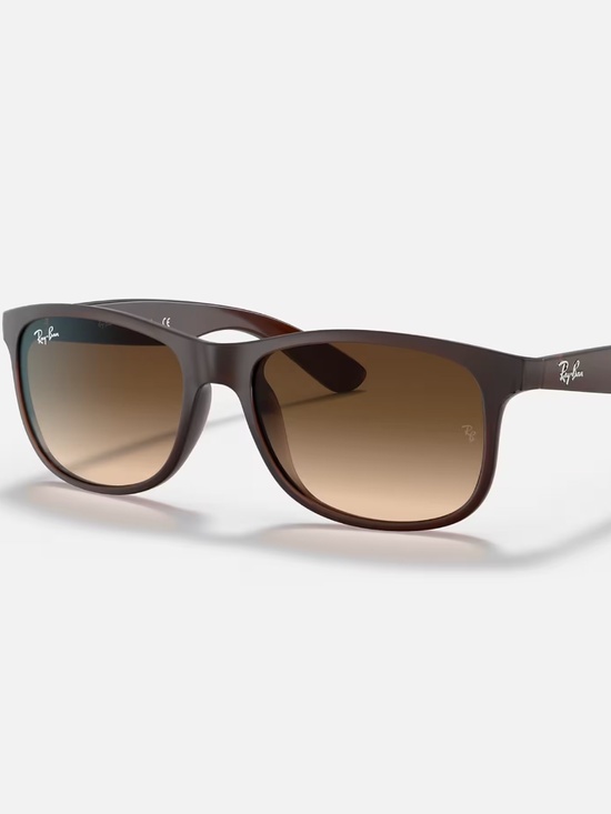 Ray-Ban Andy sunglasses (RB4202). Brown frame/brown gradient lenses